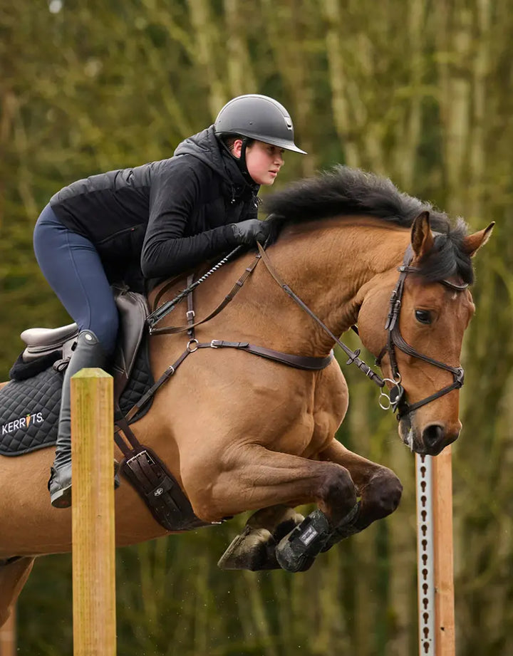 equitechhybrid#color_black