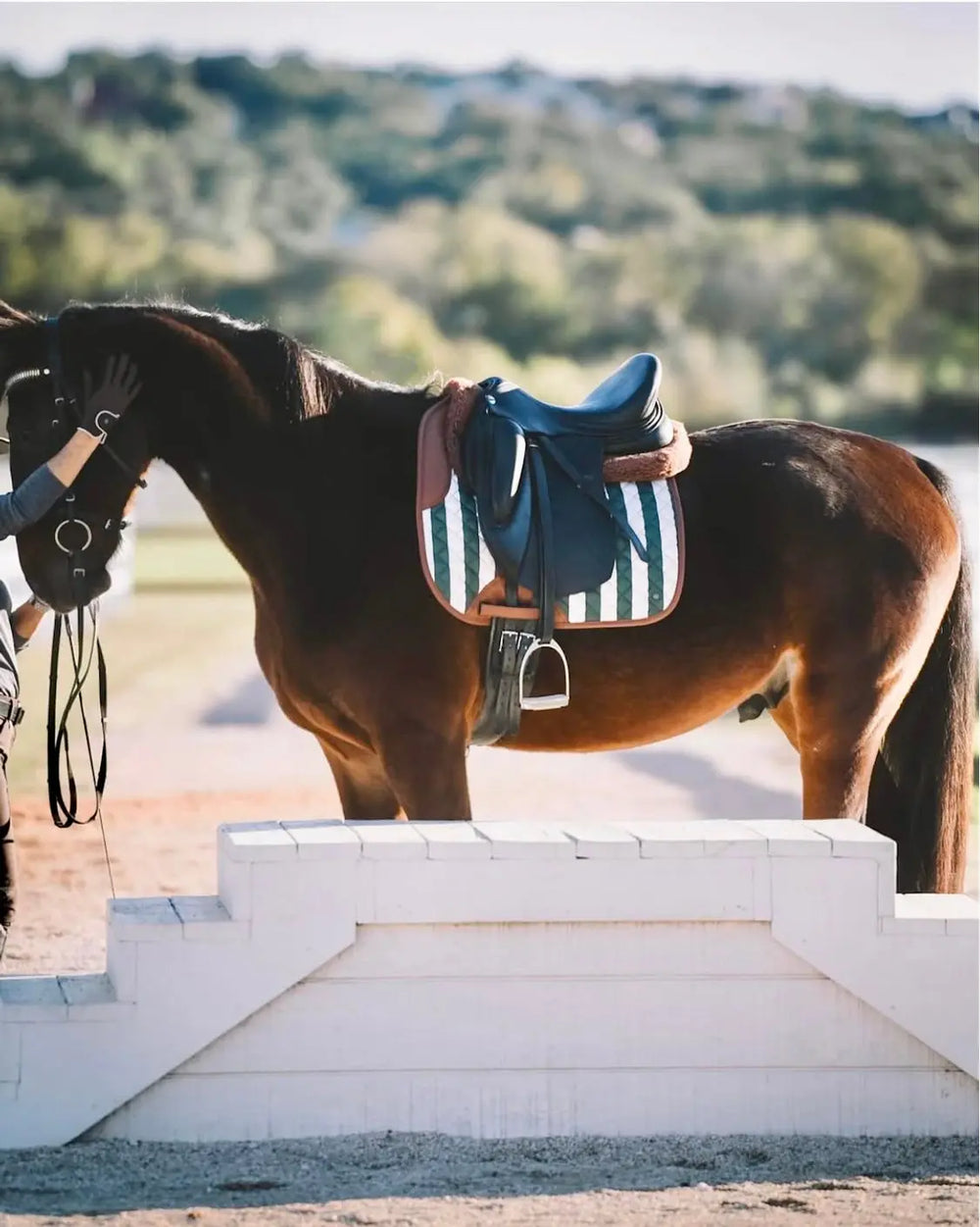 16 Cypress Caramel Stripe - Green & Cognac Saddle Pad 16 Cypress