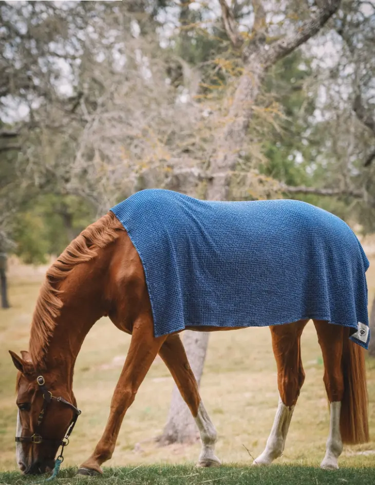 wafflethrow#color_indigo