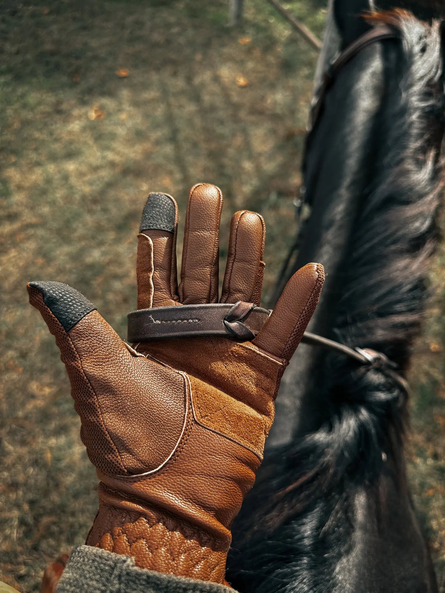 16 Cypress Leather Riding Gloves 16 Cypress