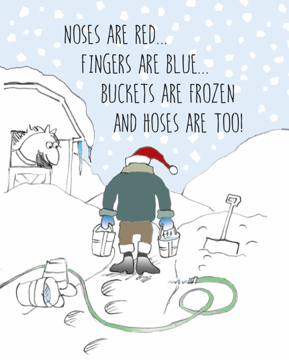 Horse Boxed Christmas Cards: Noses & Fingers (Set of 8)