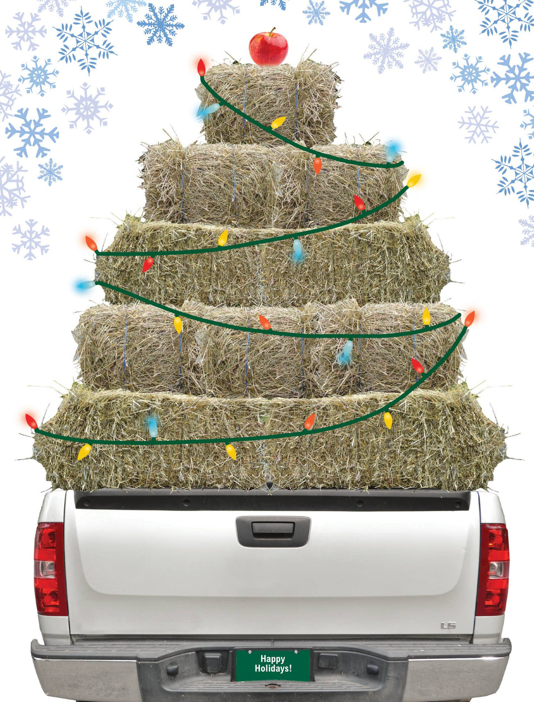 Horse Boxed Christmas Cards (Set of 8): Hay Truck Christmas Lights