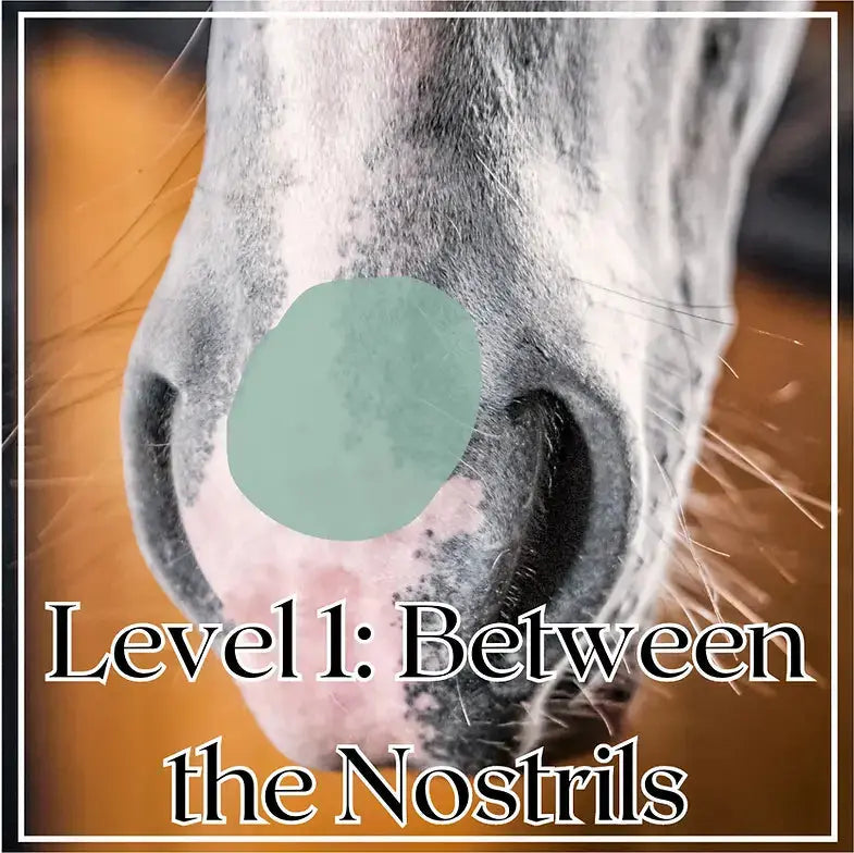 AT EASE  Calming Muzzle Butter for Horses AHLERI