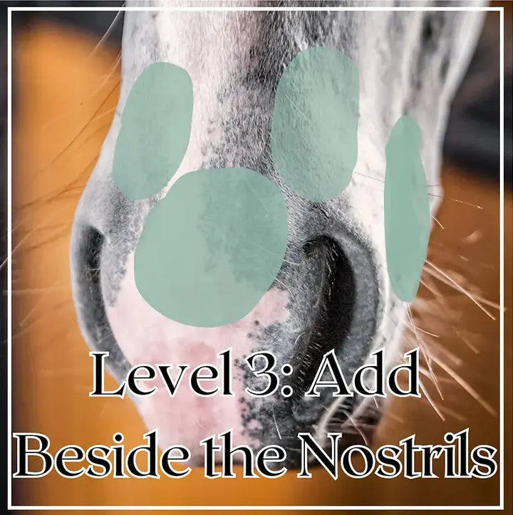 AT EASE  Calming Muzzle Butter for Horses AHLERI