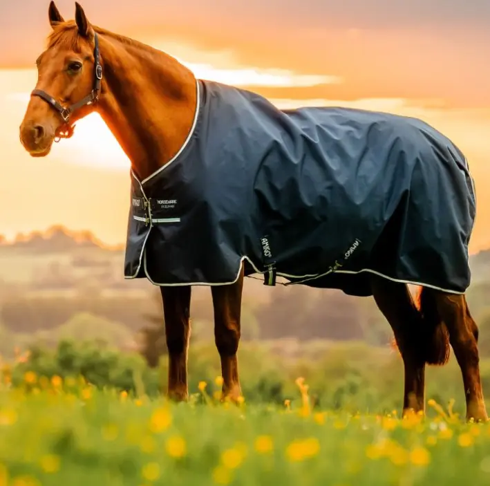 Amigo Fleece Lined 900D Rip Stop Turnout - 50g fill Horseware