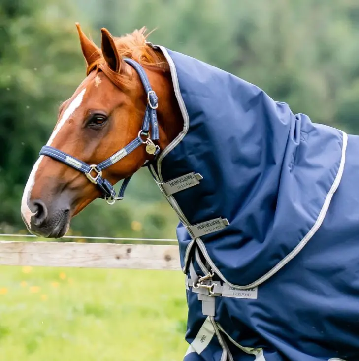 Amigo® 1200D Hood Horseware