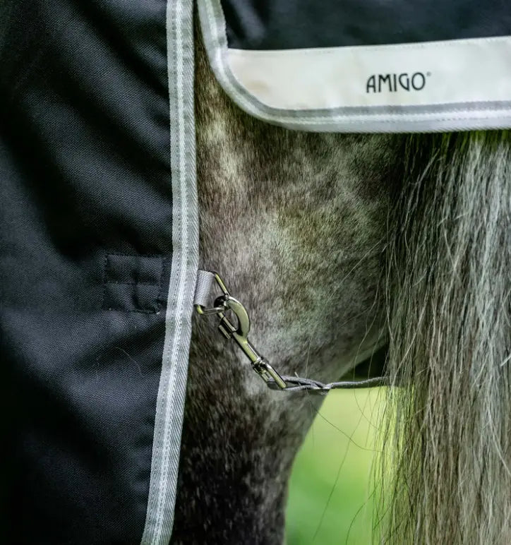 Amigo1200D
