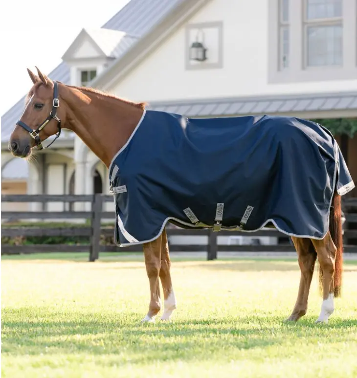 Amigo® 1200D Turnout (50-250g fill) Horseware