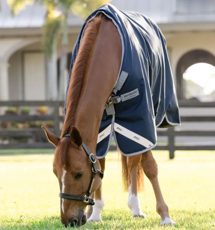 Amigo® 1200D Turnout (50-250g fill) Horseware