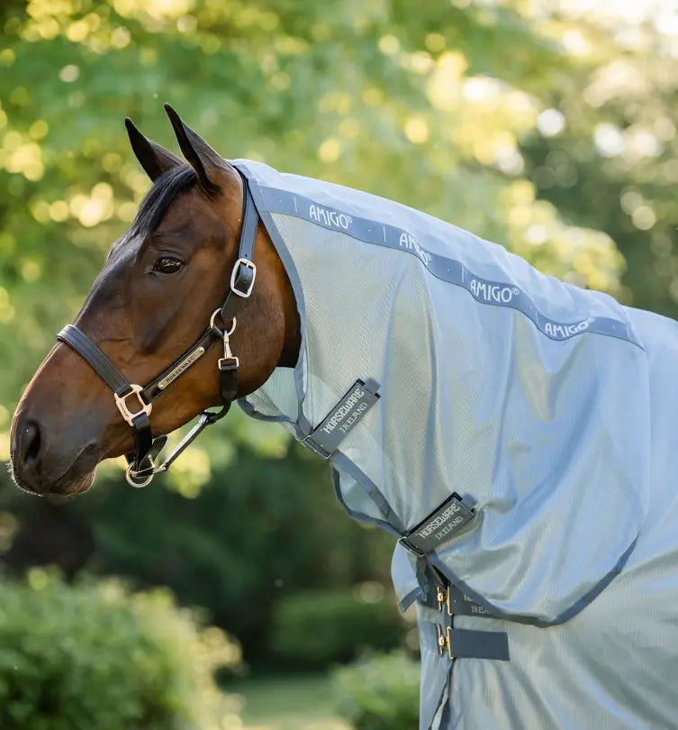 AmigoFlySheet