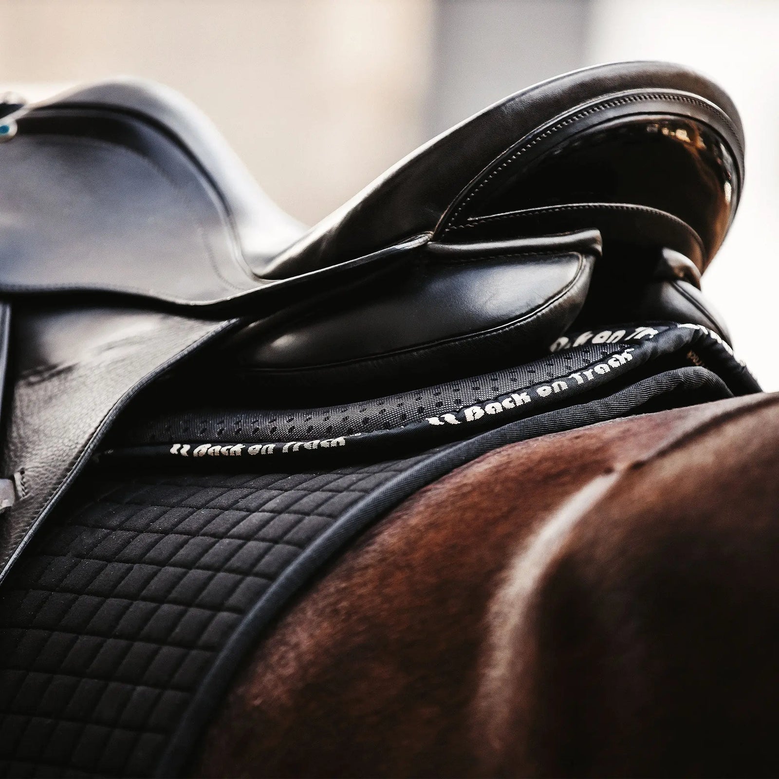 Aurora Impact Half Pad with Welltex Back on Track
