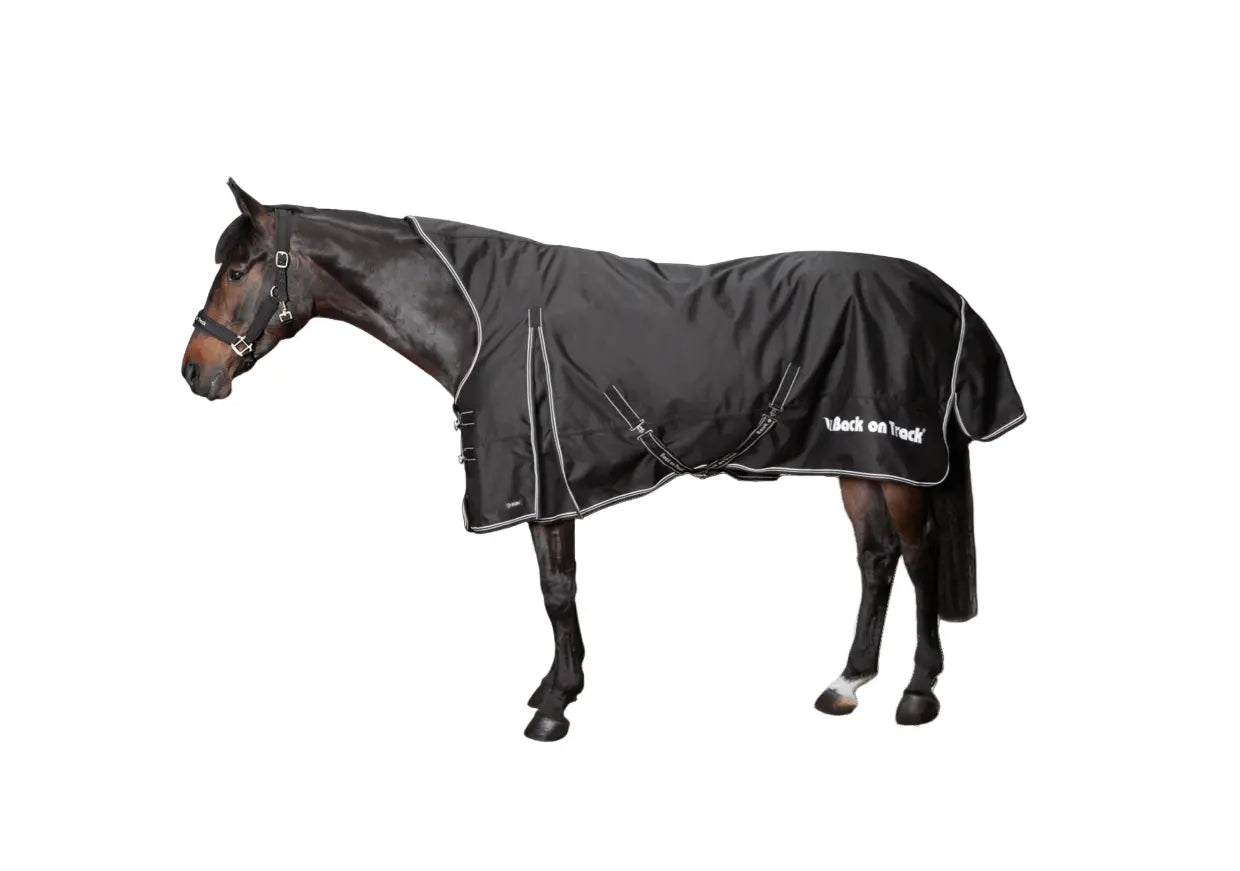Back on Track Brianna Waterproof Turnout Sheet Back on Track