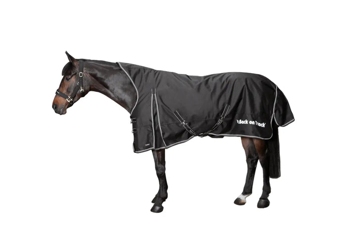 Back on Track Brianna Waterproof Turnout Sheet Back on Track