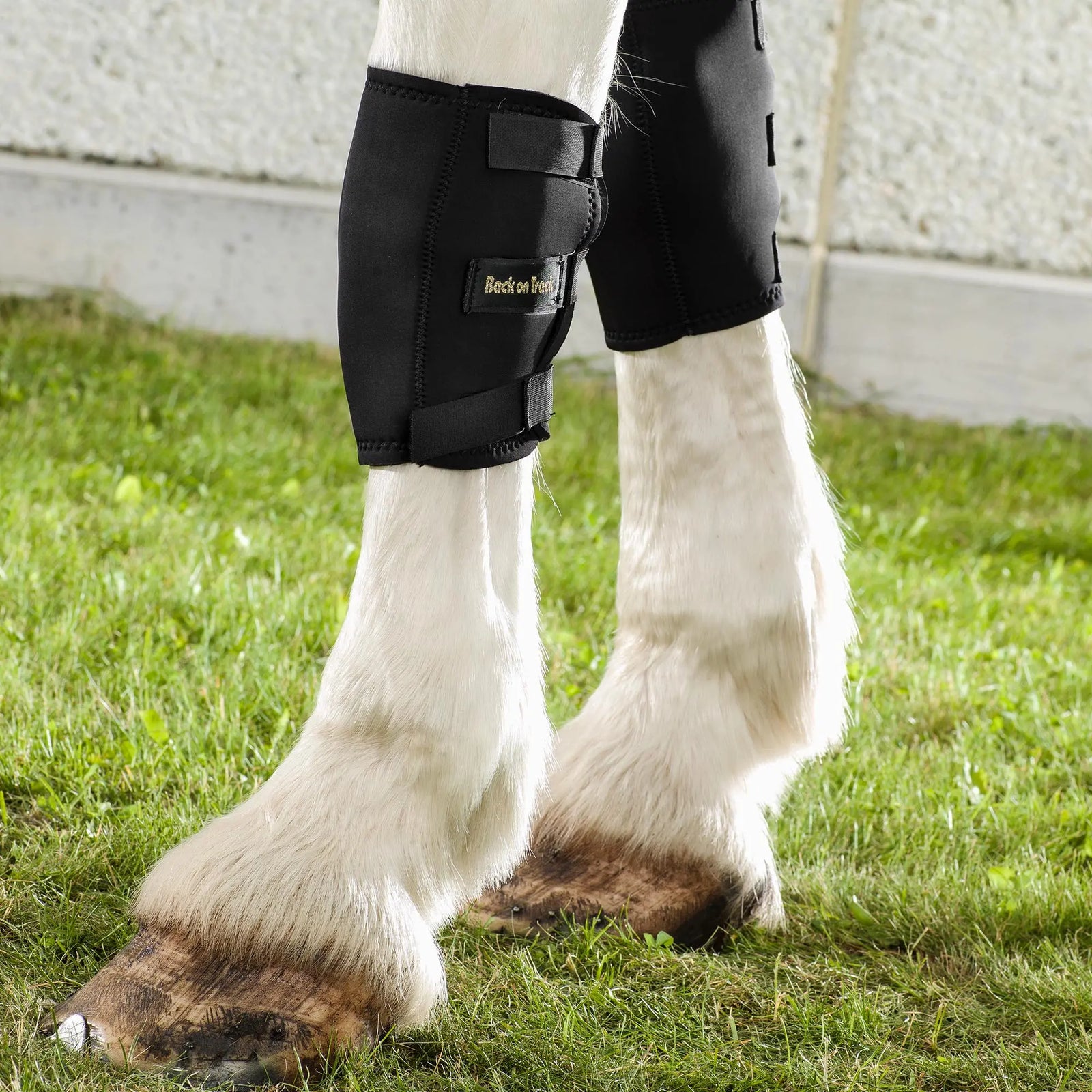 Back on Track Knee Boots Back on Track