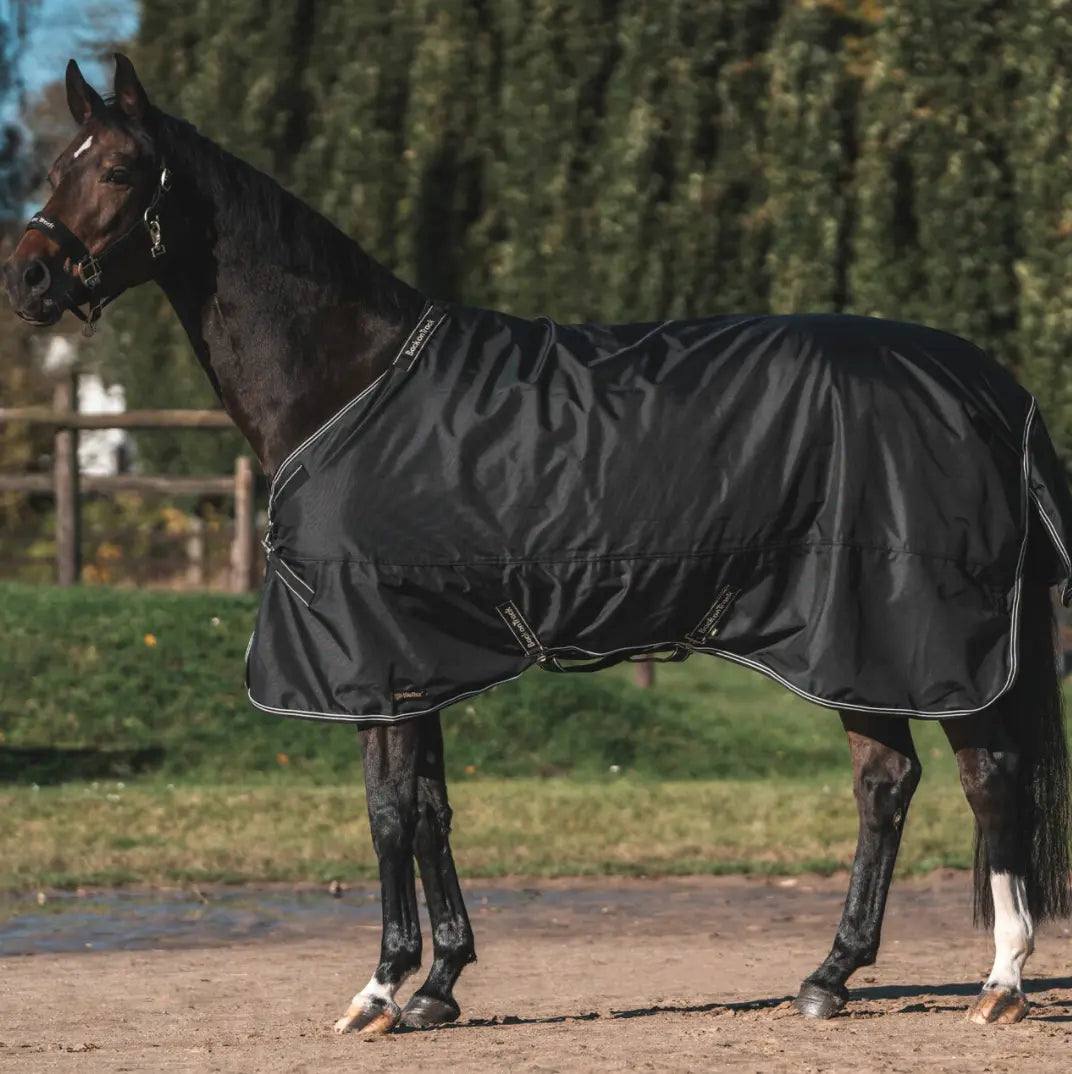 Back on Track Obsidian 150g Turnout with Neck Cover Back on Track