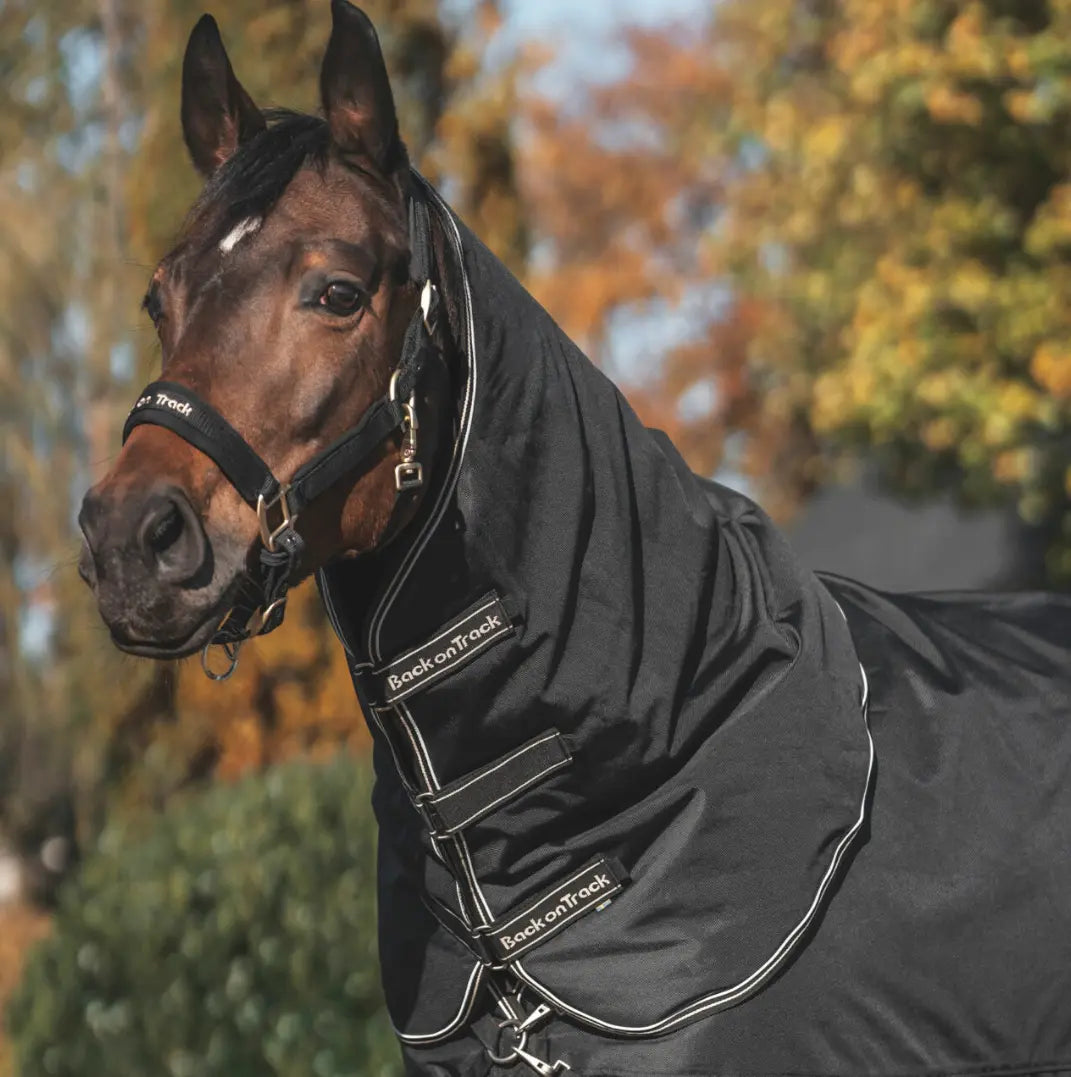 Back on Track Obsidian 150g Turnout with Neck Cover Back on Track