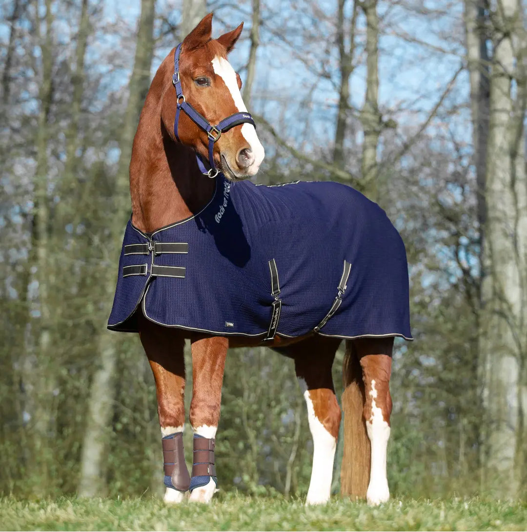 Back on Track Quick Cooler Sweat Blanket with Welltex Back on Track