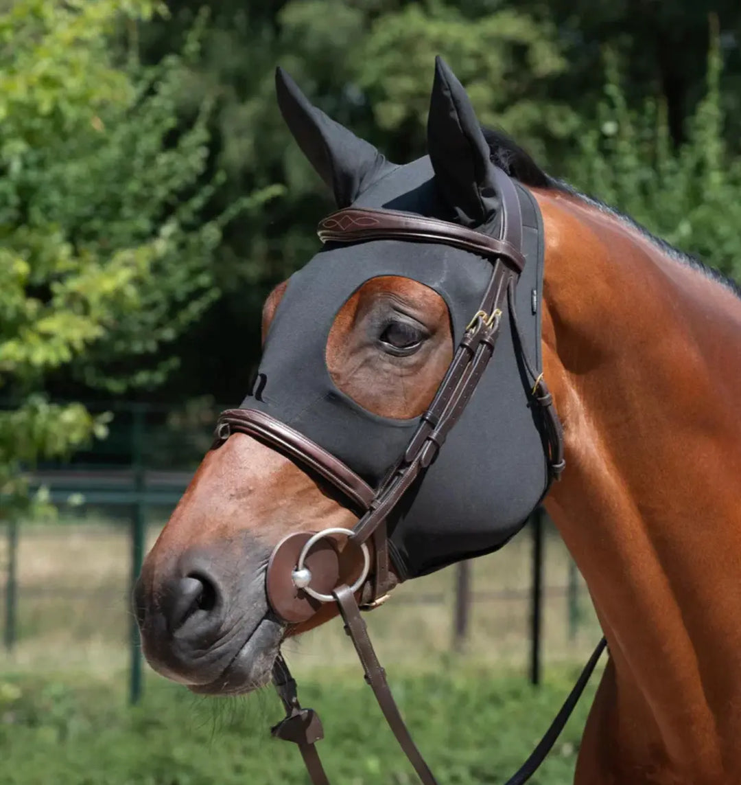 Back on Track Spirit Soothing Hood with Ears