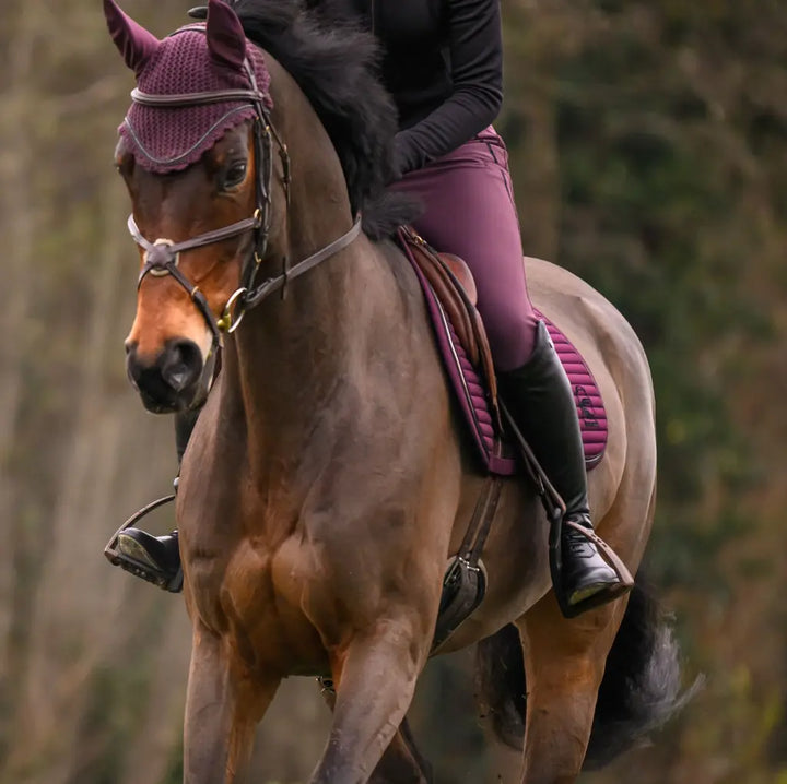 CavalRita