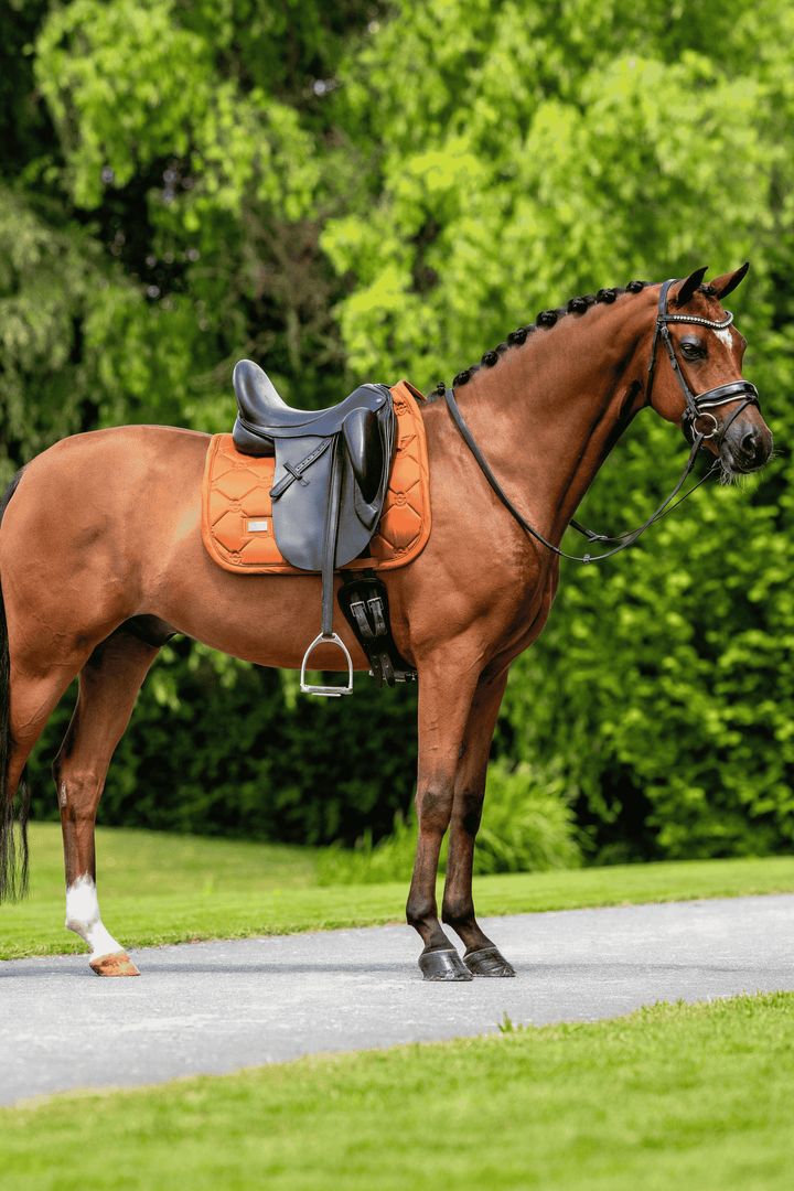 Equestrian Stockholm Velvet Classic Dressage Pad -Chestnut