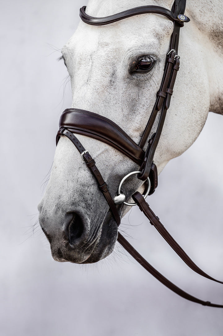 PS of Sweden Flying Change Dressage Bridle