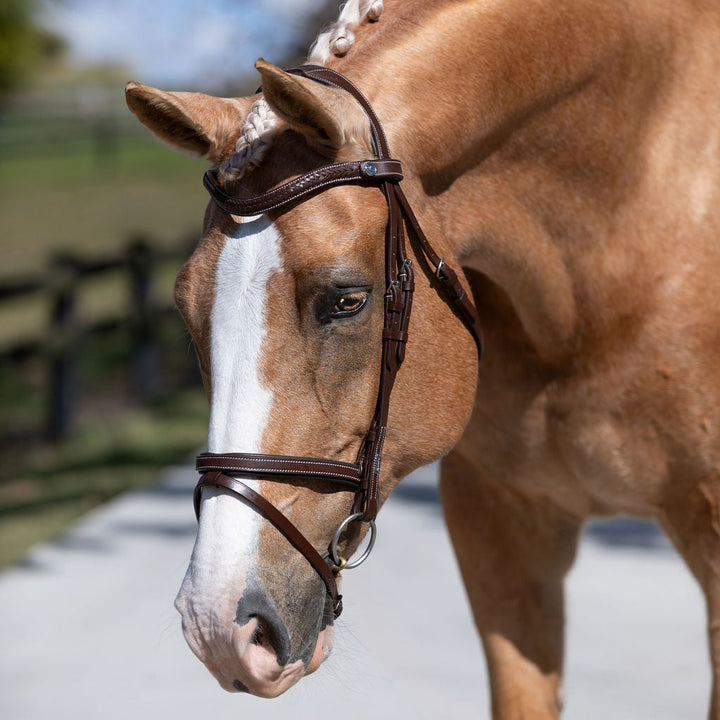 Lumiere Delaney Bridle - detail