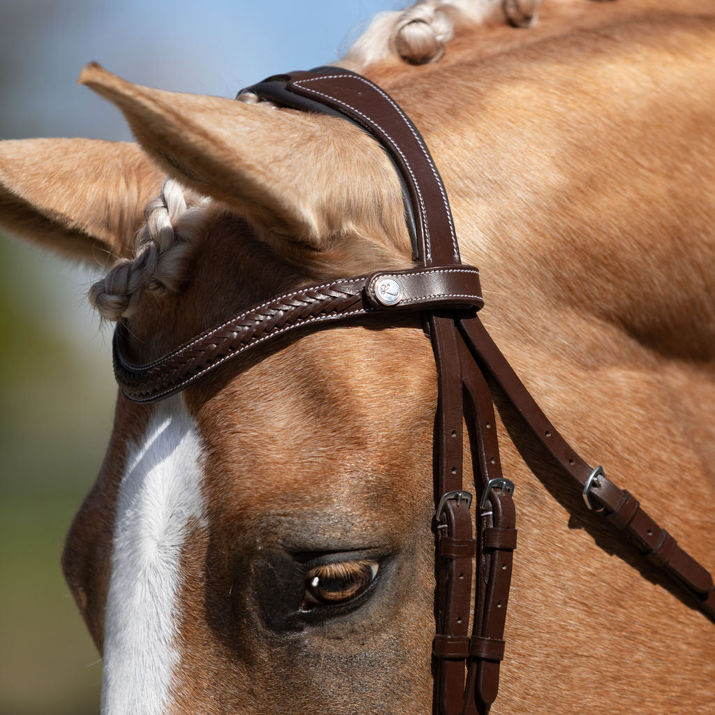 Lumiere Delaney Bridle - front view