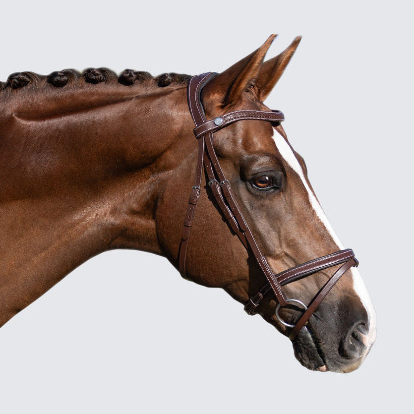 Lumiere Delaney Bridle - Havana brown leather