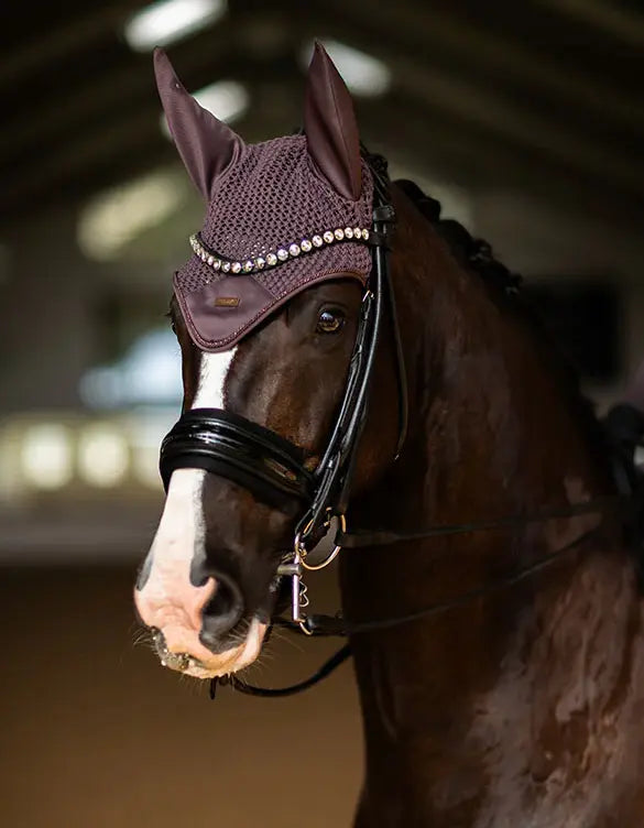 Ear Bonnet Moonless Night Equestrian Stockholm