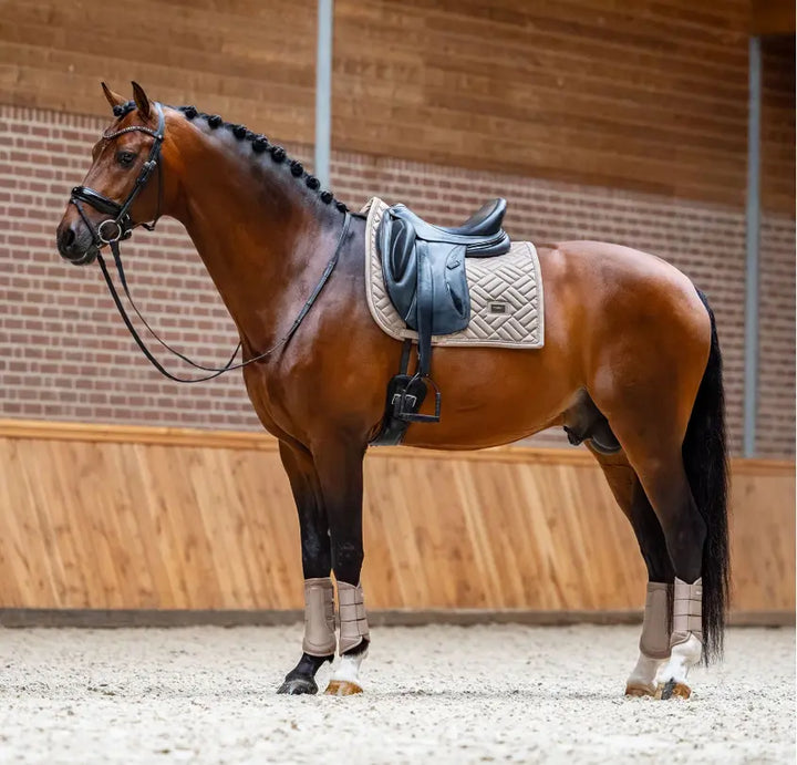 Equestrian Stockholm Modern Sand Saddle Pad - Dressage & Jump Equestrian Stockholm