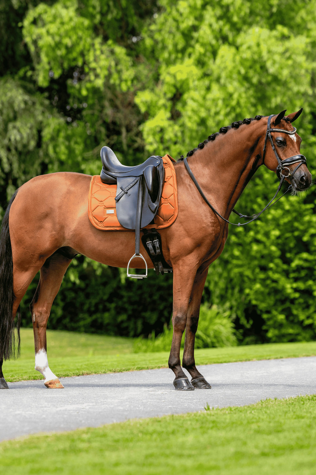 Equestrian Stockholm Satin Classic Dressage Pad - Chestnut Equestrian Stockholm
