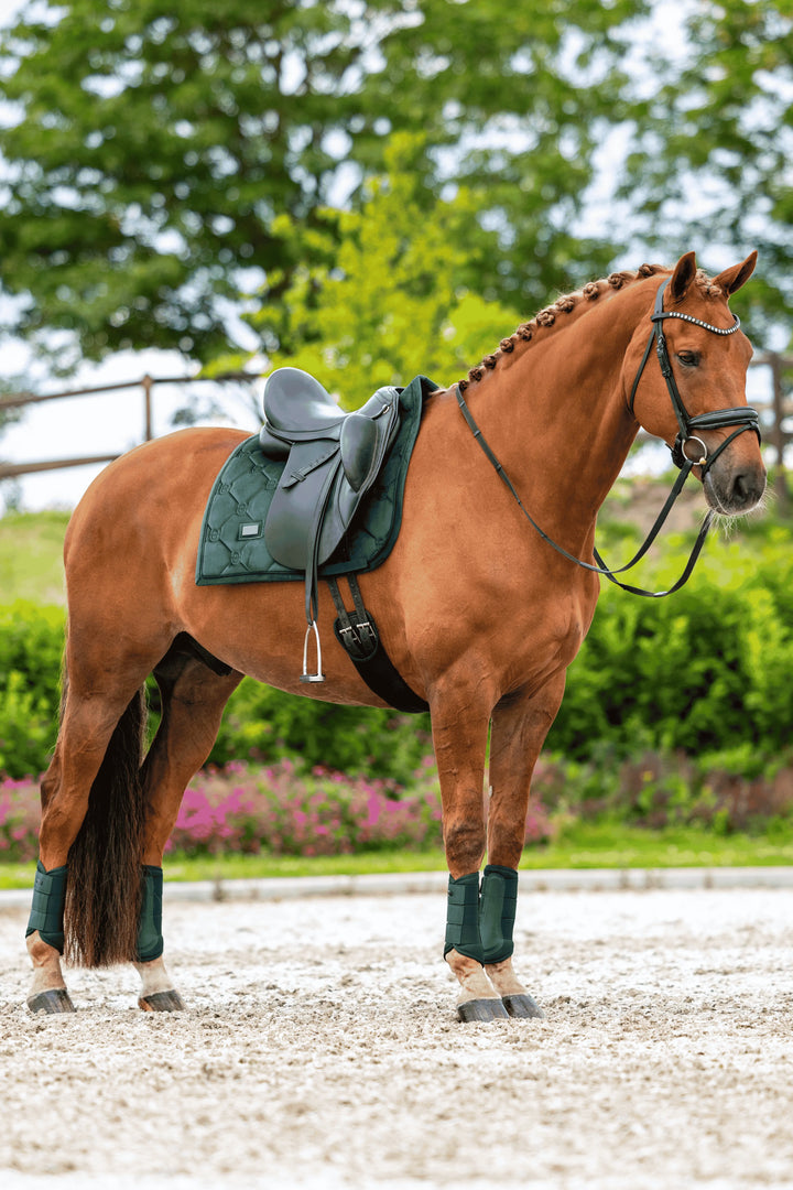 Equestrian Stockholm Velvet Classic Dressage Pad - Sycamore Green Equestrian Stockholm