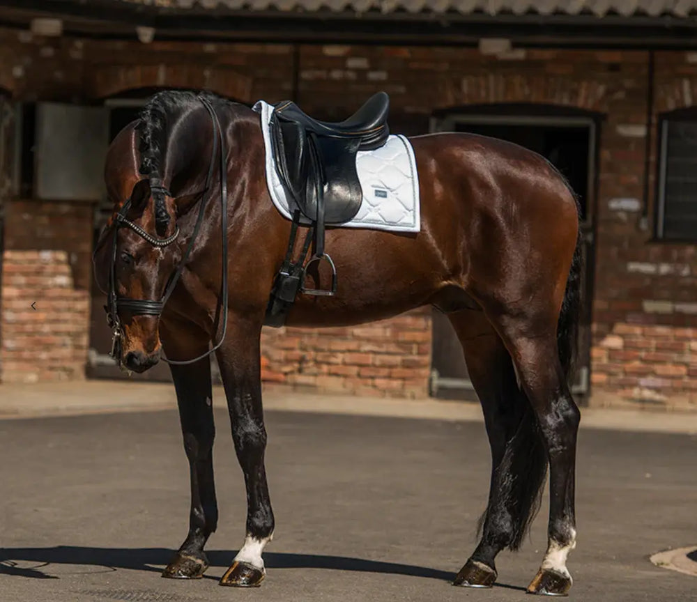 Equestrian Stockholm White Perfection Silver Dressage Pad Equestrian Stockholm