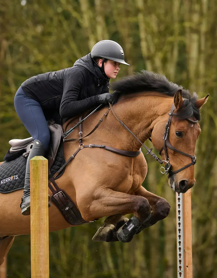 equitechhybrid#color_black