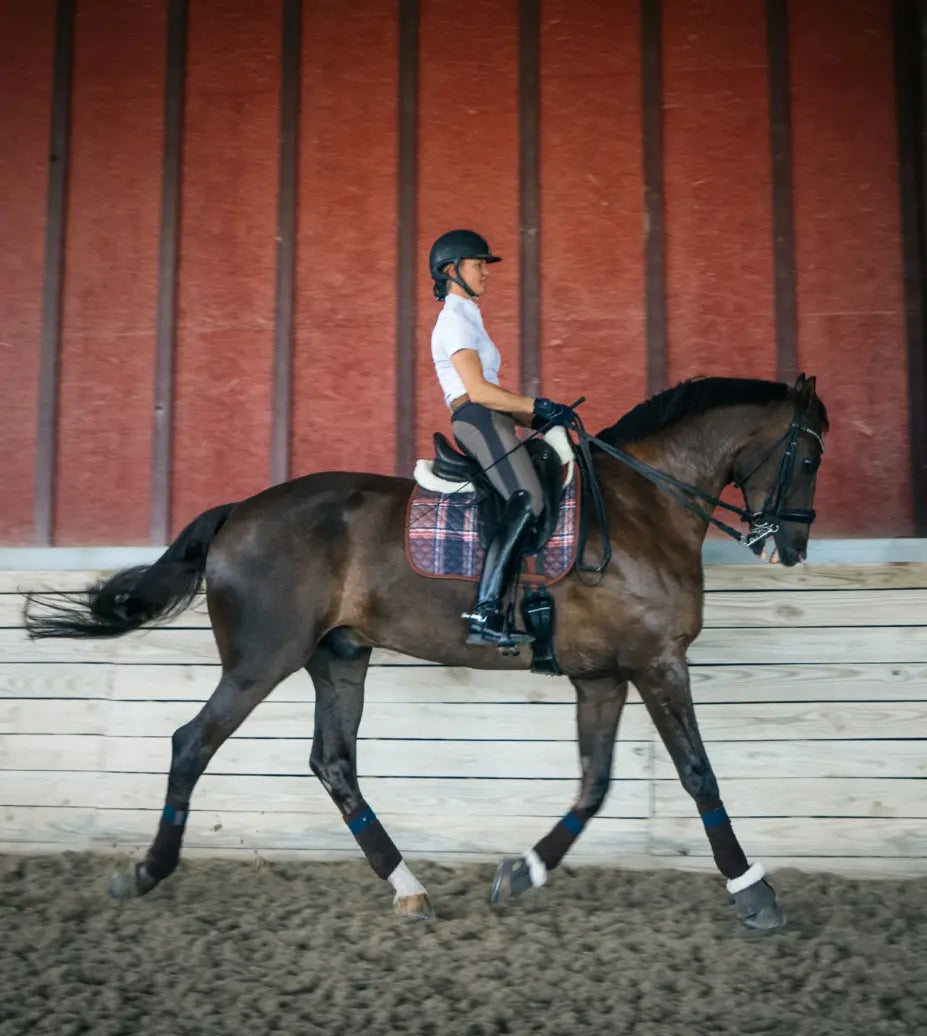 16CFieldPlaid#style_dressage