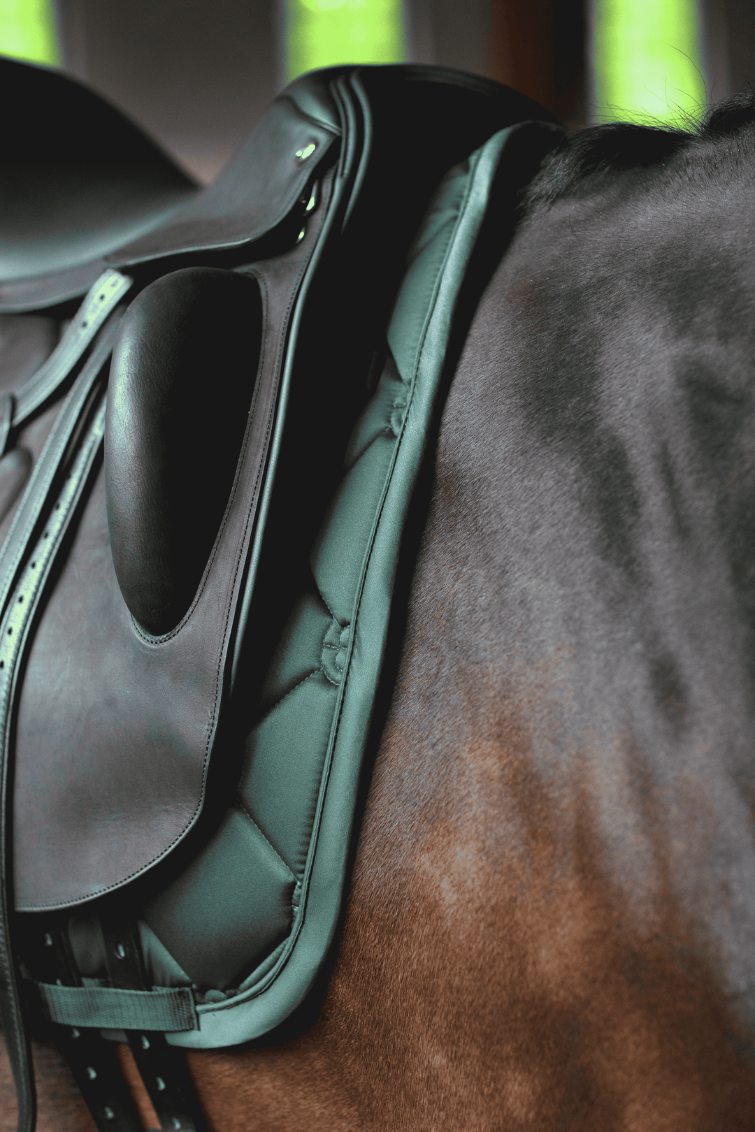 Equestrian Stockholm Satin Classic Dressage Pad - Sycamore Green