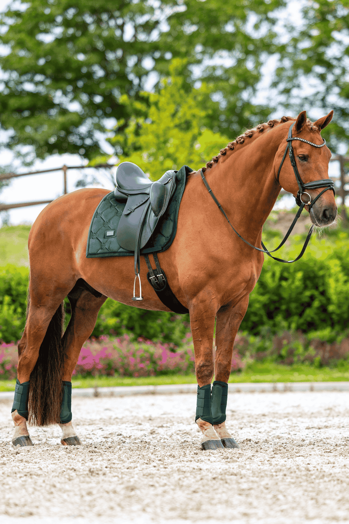 Equestrian Stockholm Velvet Classic Dressage Pad - Sycamore Green