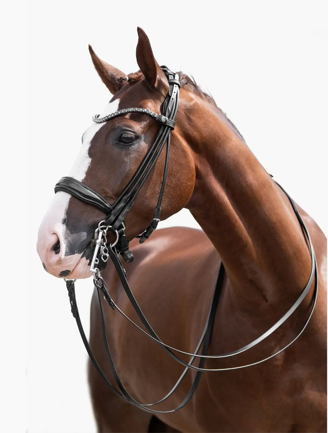 HKM Kate Double Bridle - Patent Leather & Crystal HKM