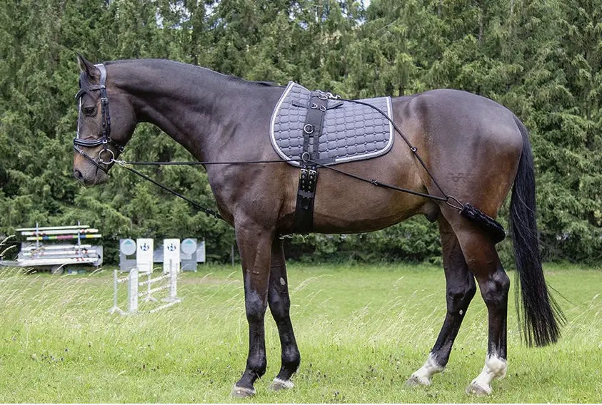HKM Lunging System Training Aid HKM