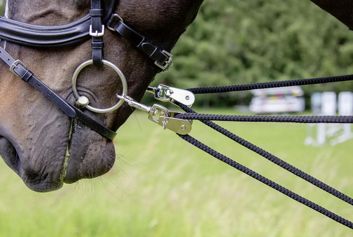 HKM Lunging System Training Aid HKM