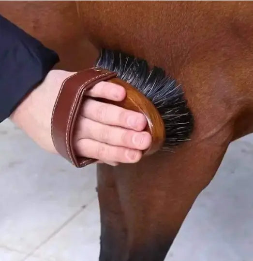 Hairy Pony Dandy Brush Hairy Pony