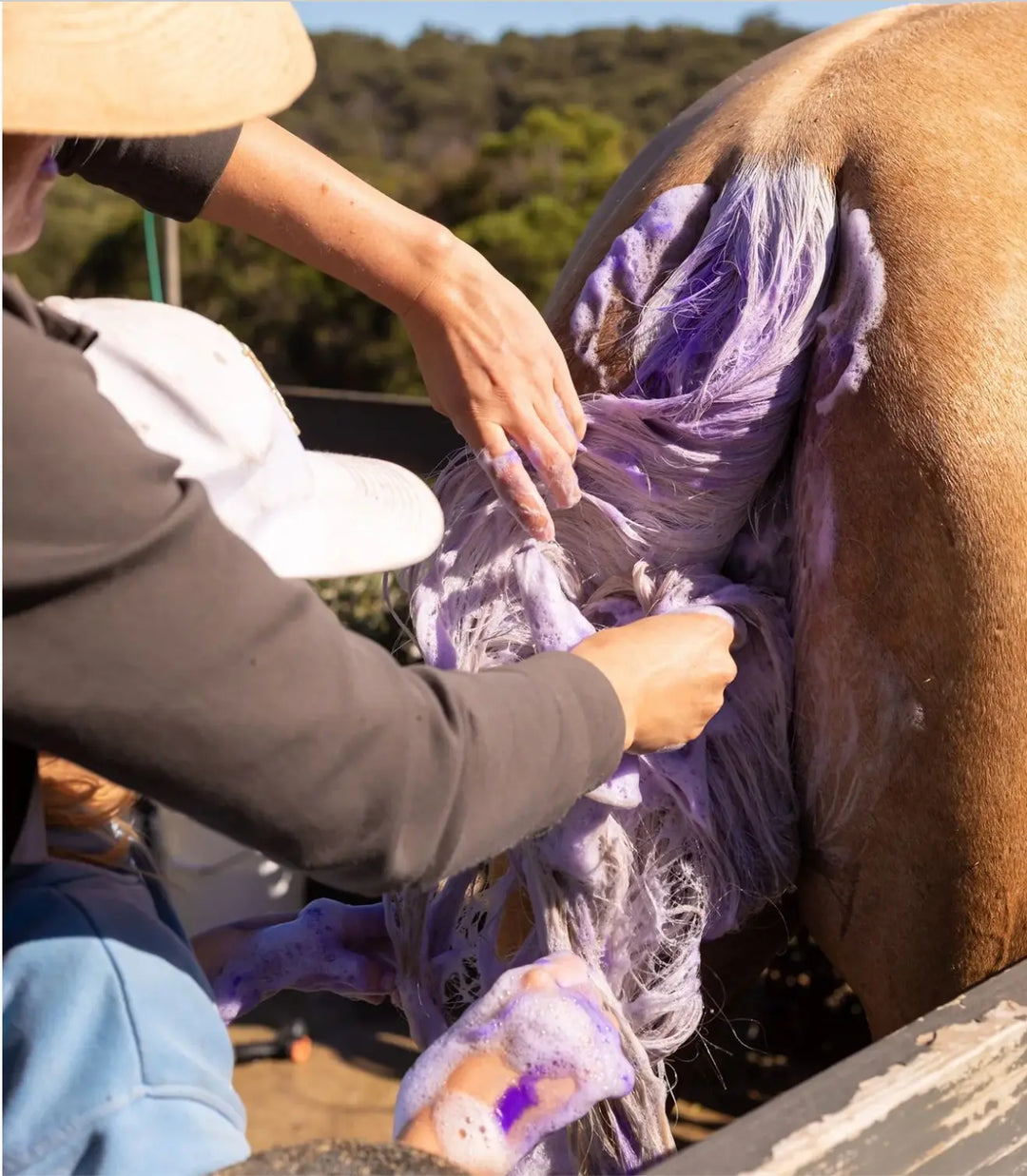 Hairy Pony Double Strength Purple Shampoo.  500ml concentrate Hairy Pony
