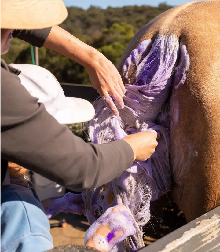Hairy Pony Double Strength Purple Shampoo.  500ml concentrate Hairy Pony