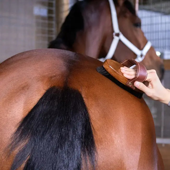 Hairy Pony Essential Oil Coat Conditioner Hairy Pony