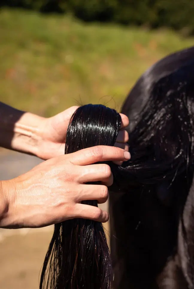 Hairy Pony Hair Repair Treatment  - Raspberry & Pomegranate Hairy Pony