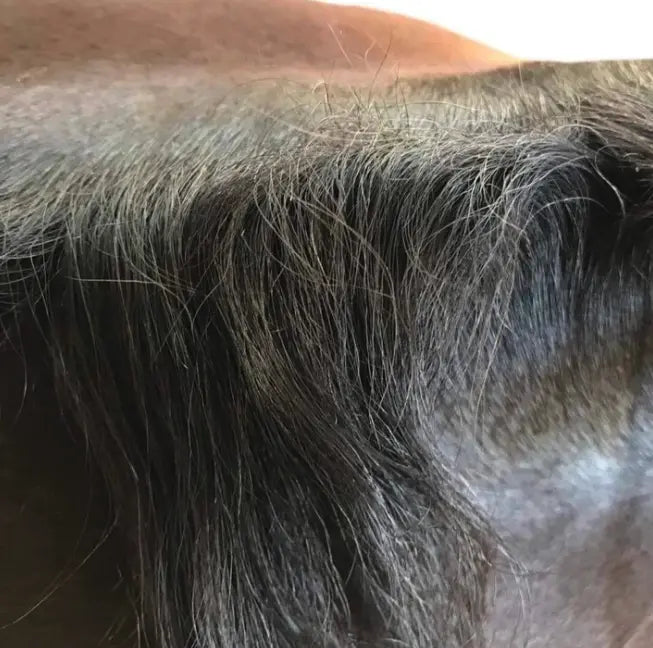 Hairy Pony Mane + Tail Taming Wax Hairy Pony