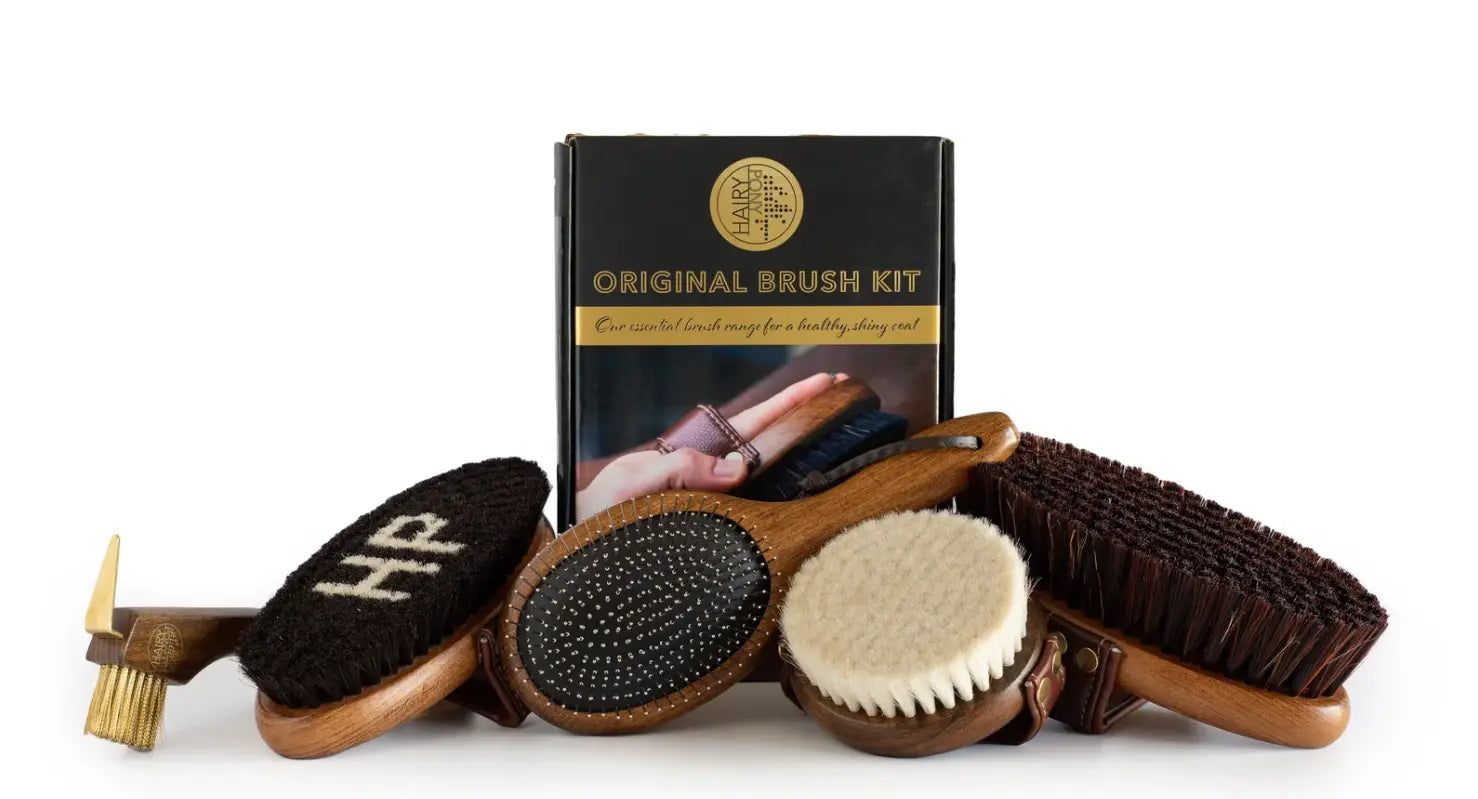 Hairy Pony Original Brush Kit Hairy Pony