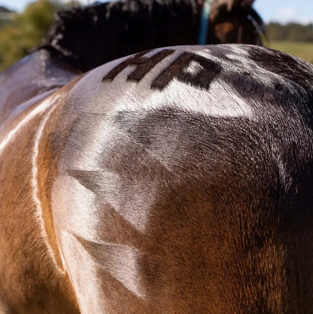Hairy Pony Quarter Mark Brush with Copper Bristles