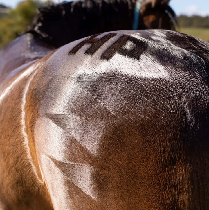 Hairy Pony Quarter Mark Brush with Copper Bristles