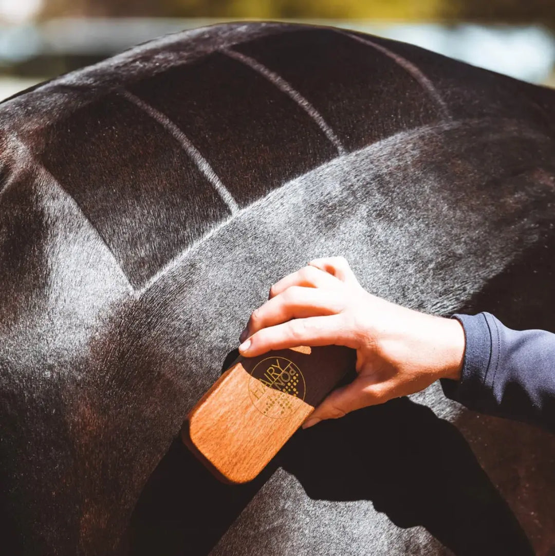 Hairy Pony Quarter Mark Brush with Copper Bristles